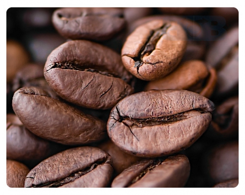 CAFÉ